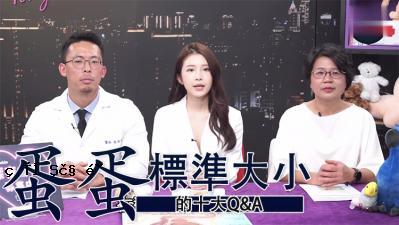 蛋白质蛋白10主要的质量质量标准尺寸。