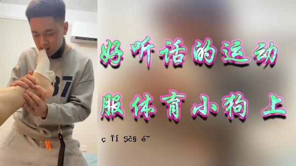 好看和愉快的服装体育小狗