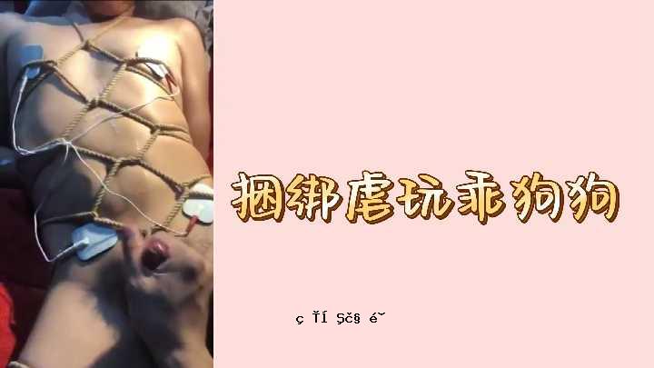 放荡的狗