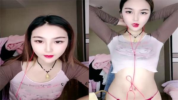 美丽的绵羊，闪闪发光