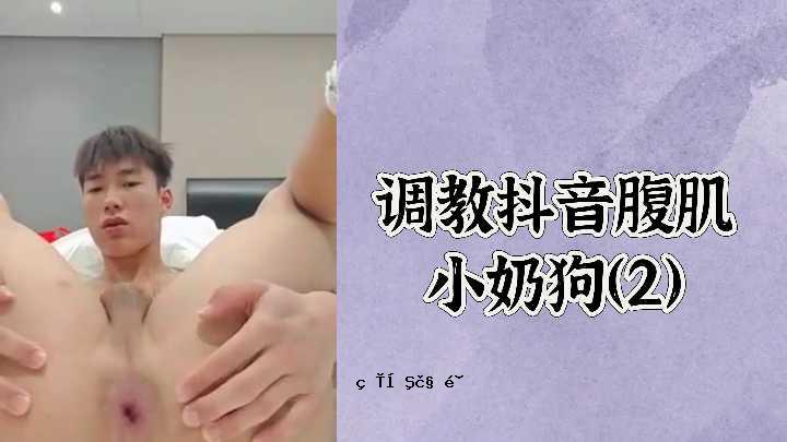 腹部皮肤小狗2