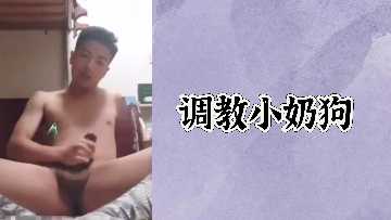 免费学习的小狗