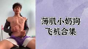 免费收集小型皮肤狗