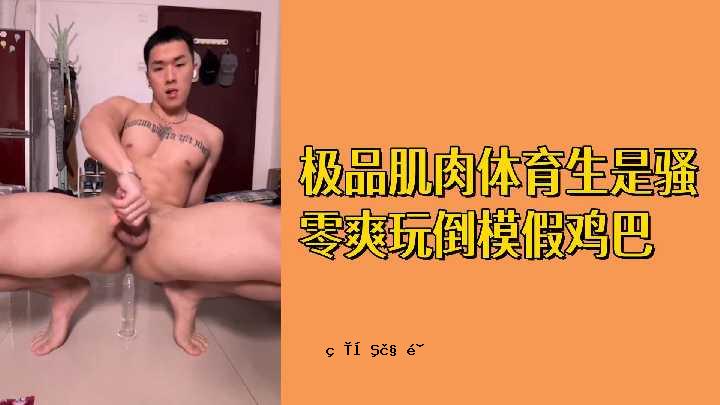 免费质量的体育训练是一个放荡和假的玩具