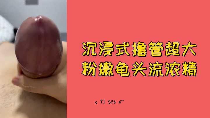 免费的浸入式式燃料管超大粉末沸腾