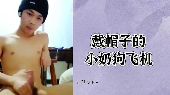 自由帽子式的小狗