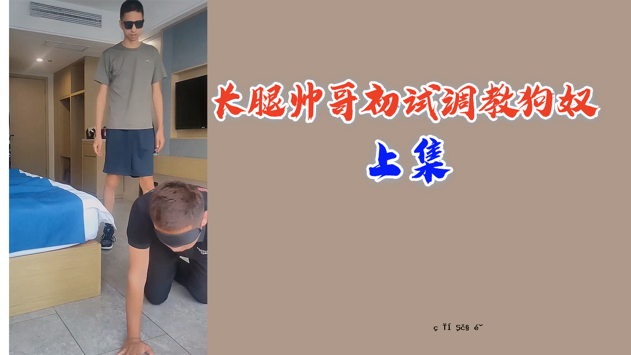 最高的尖叫是第一个由狗教的人