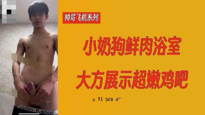 帅哥飞机系列小狗肉卫浴大展超长