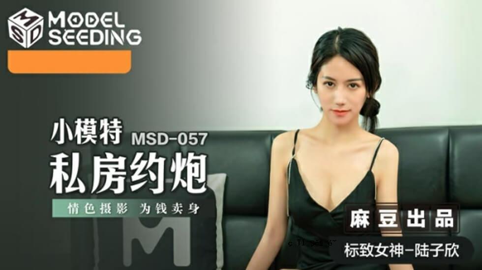 麻豆-小特别包间总结写真拍摄的情感色彩 - 鹿子心