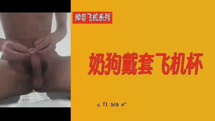 帅哥飞机系列 帅哥飞机杯