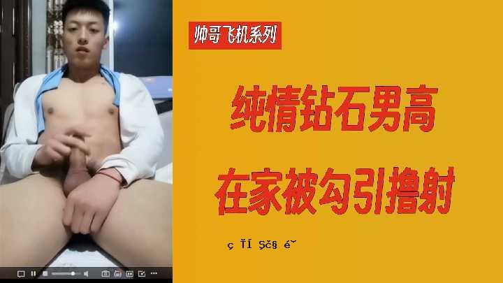 《小金飞机》系列的原作故事小石大鹰被捕并在家中被枪杀。