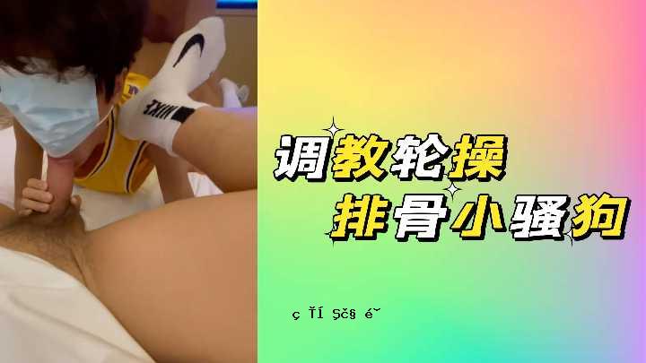 教育训练骨骼狗