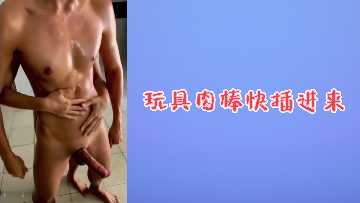玩具公鸡的乐趣