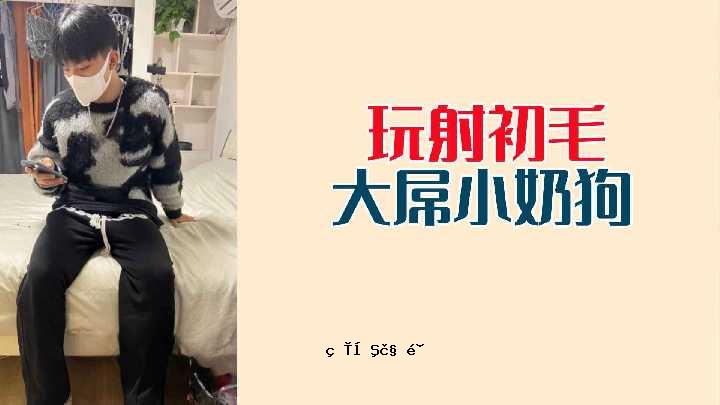 玩具第一外套大号小型犬