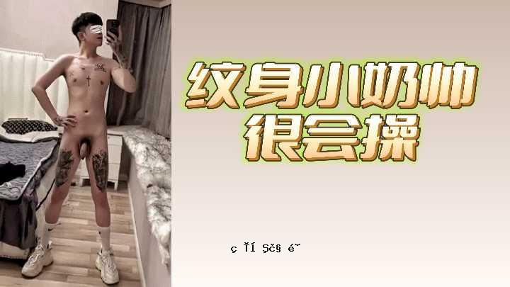 纯素体小包
