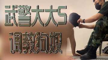 PAP S 训练犬