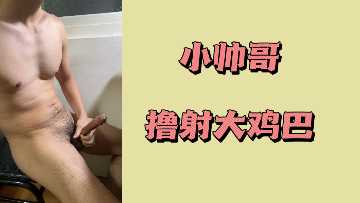 小镜头和大镜头