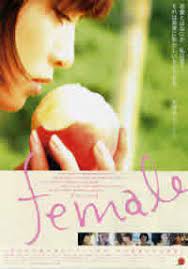 混乱的五种颜色