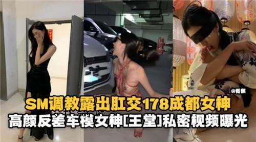 SM教育曝光肛交178成都女神高颜反车仿女神私房观赏曝光