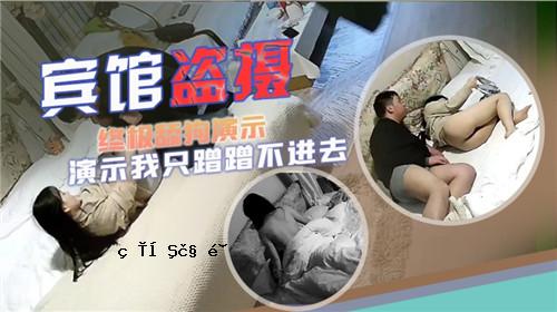 在酒店失窃案的最后，狗的表现只是一个小偷。