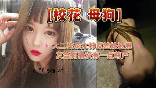 两大派的花神，歧视男人、狗狗、一分公子