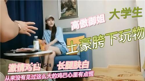 傲慢大学生的国产玩具