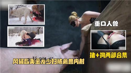 风，美女，黄金，少妇，鸟，内射