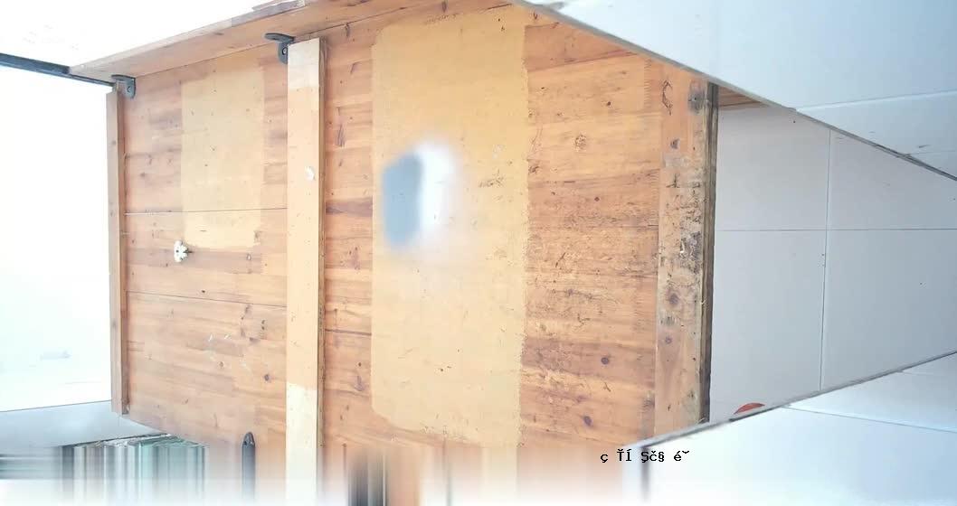 公园的道路上满是鱼和牛。