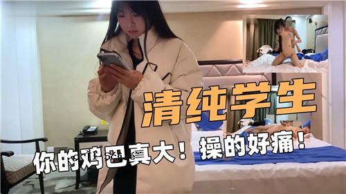 一个纯粹学生的爱与痛